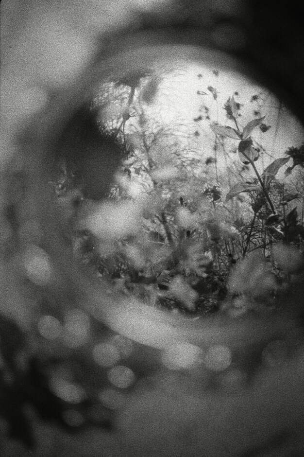 Reflection