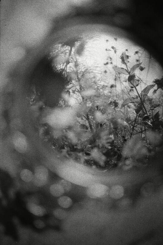 Reflection