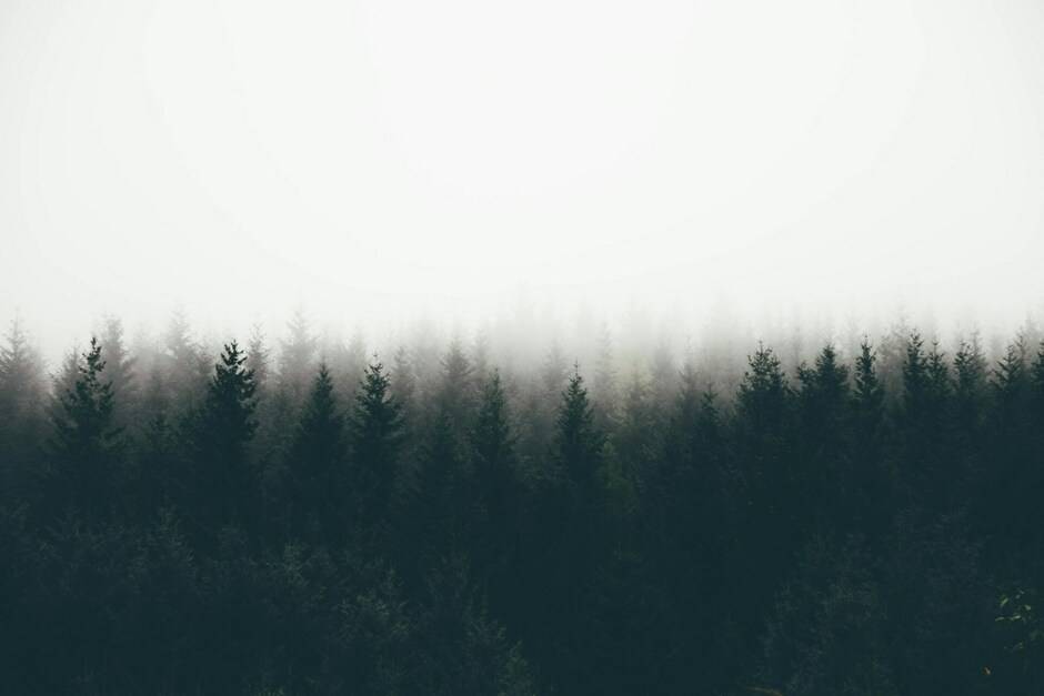 Depth