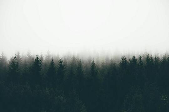Depth