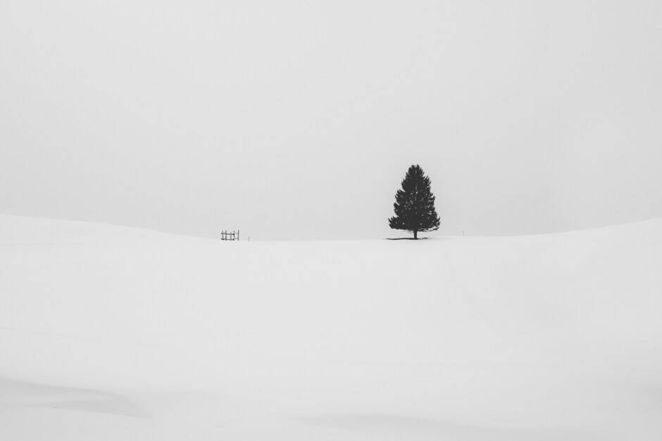 Duality