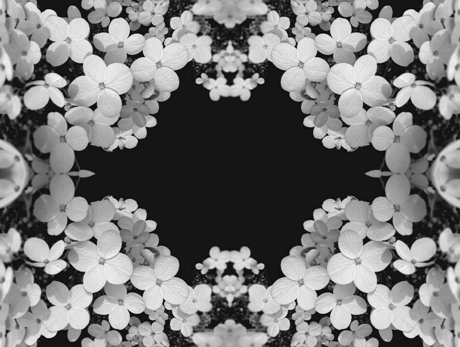 Portal